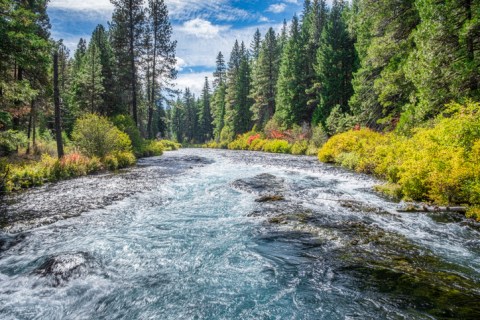 The West Metolius River Trail Just Might Be One Of The Most Beautiful Hikes In Oregon