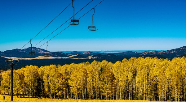 When And Where To Expect Arizona’s Fall Foliage To Peak This Year
