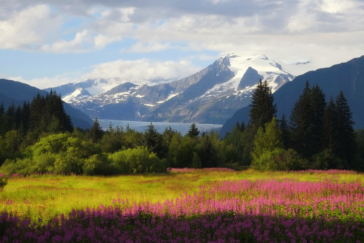 Alaska banner image