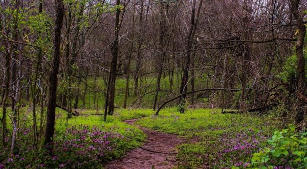 Sally Brown Nature Preserve Loop Is An Easy Hike In Kentucky That Takes You To An Unforgettable View