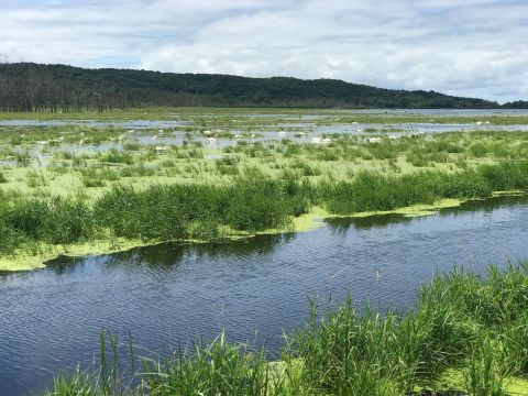 Arcadia Marsh Boardwalk Trail In Michigan Leads To One Of The Most Scenic Views In The State