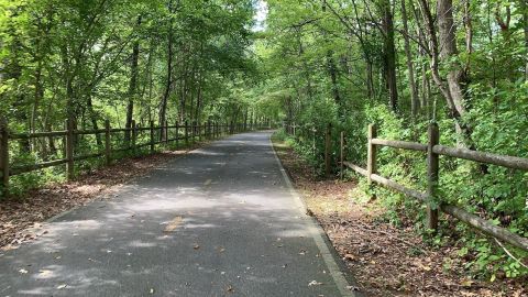 Follow This Abandoned Railroad Trail For One Of The Most Unique Hikes In Rhode Island