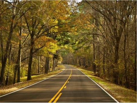 The Natchez Trace Parkway Is An Inexpensive Road Trip Destination In Mississippi That's Affordable