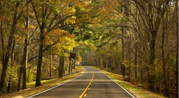 The Natchez Trace Parkway Is An Inexpensive Road Trip Destination In Mississippi That’s Affordable