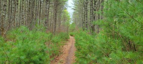 Hike This 6.7 Mile Loop Trail In Exeter Rhode Island For Mind Blowing Natural Beauty