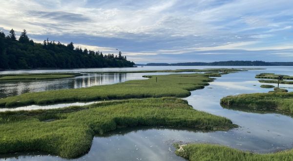Nisqually Estuary Trail Is A Boardwalk Hike In Washington That Leads To Twin Barns
