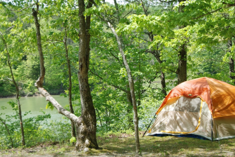 Kentucky's Best Kept Camping Secret Is This Waterfront Spot With More Than 40 Glorious Campsites
