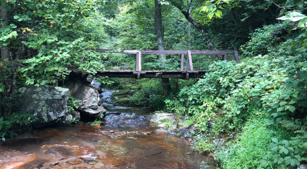 Enjoy Multiple Views Of A Picturesque Waterfall When You Hike The 1.5-Mile Fallingwater Cascades Trail In Virginia