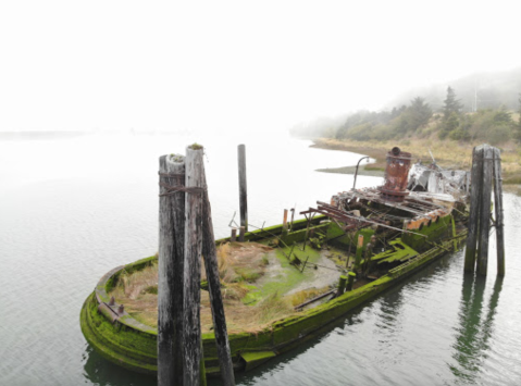 There's A Shipwreck Ruin From 1880 With Well-Preserved Artifacts At This Beach In Oregon