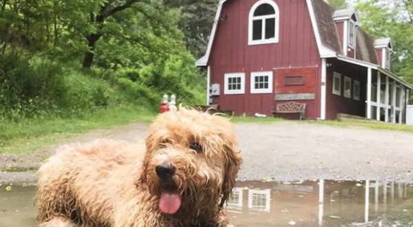 Experience This Small Vermont Town By Staying In Your Very Own Barn