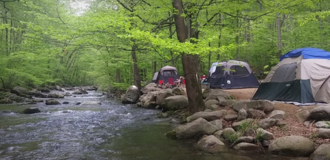 Virginia's Best-Kept Camping Secret Is This Riverfront Spot With Just 30 Glorious Campsites