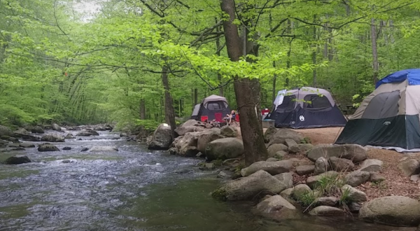 Virginia’s Best-Kept Camping Secret Is This Riverfront Spot With Just 30 Glorious Campsites