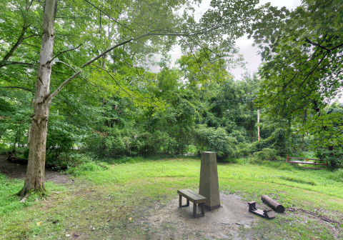 Twin Valley Trail Is A Quiet, Scenic Hike In Delaware That Leads To A Secret Relic Of The Past