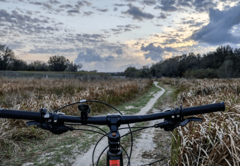 This Thrilling Florida Park Is A Paradise For Mountain Bikers & Nature Lovers