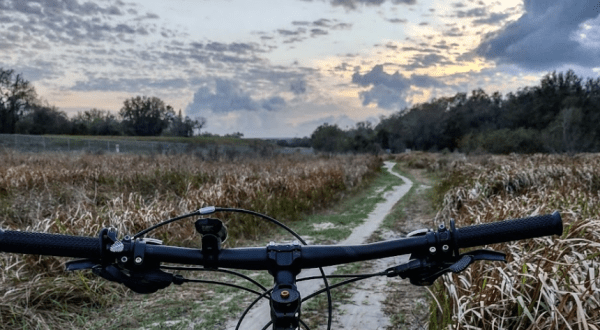 This Thrilling Florida Park Is A Paradise For Mountain Bikers & Nature Lovers