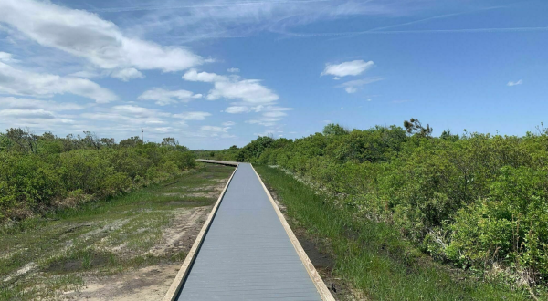 The Marsh Ridge Trail In Virginia Takes You From The Bay To The Beach And Back