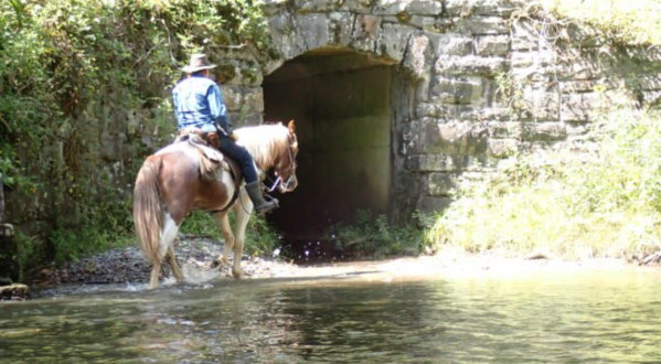 Take A Guided Horseback Ride Through Great Smoky Mountains National Park With Smokemont Riding Stables In North Carolina
