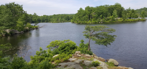 The Best Kayaking Lake In New Jersey Is One You May Never Have Heard Of