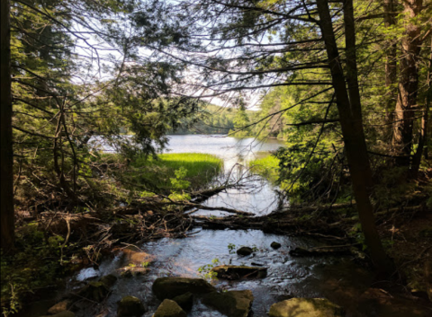 There's No Better Place To Spend Your Summer Than These 6 Hidden Connecticut Spots