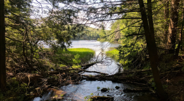 There’s No Better Place To Spend Your Summer Than These 6 Hidden Connecticut Spots