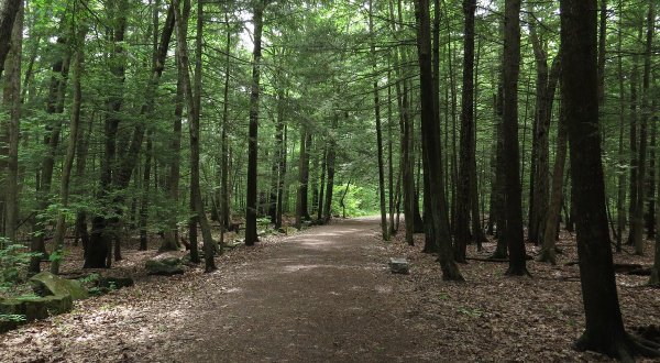 The Solution For Your Stress Is This Guided Walk Through The Maine Woods
