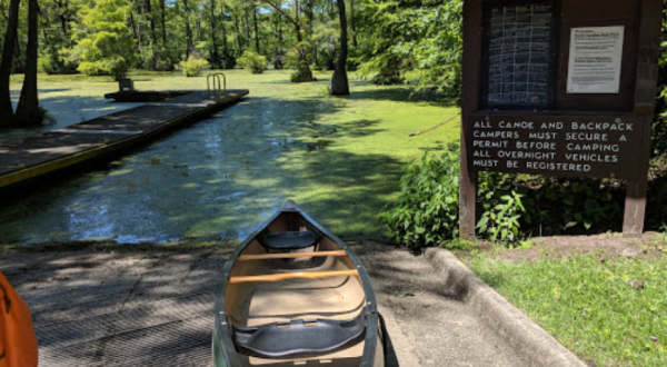 Visit A Submerged Enchanted Forest At Merchants Millpond State Park In North Carolina