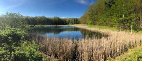 Enjoy Amazing Lake Views Along This Easy Trail At Wesley Hill Nature Preserve in New York