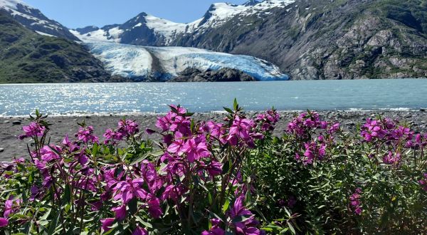 Hike High Above The Treeline And Spot Portage Glacier On This Beautiful Trail In The Chugach National Forest