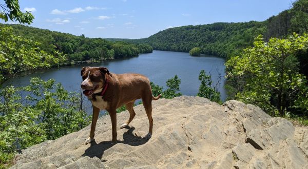 Lover’s Leap State Park Is A Unique Dog-Friendly Destination In Connecticut Perfect For An Outdoor Adventure