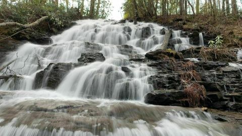 This 1.5-Mile Trail In Georgia Leads To Blossoming Wildflowers And A Cascading Waterfall