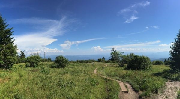 Andrews Bald Trail In North Carolina Leads To Panoramic Views Of The Smoky Mountains