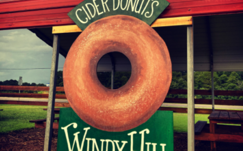 Pick Apples And Sample Apple Cider And Donuts At Windy Hill Orchard And Cider Mill In South Carolina