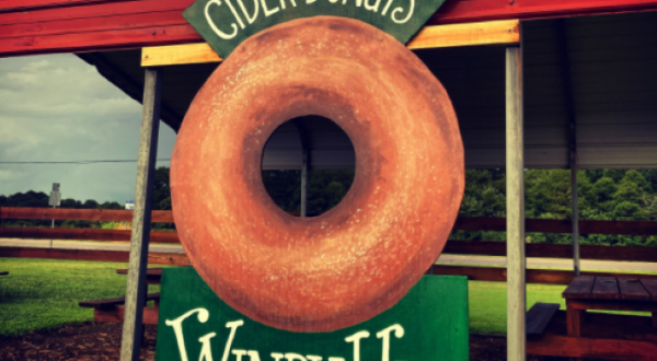 Pick Apples And Sample Apple Cider And Donuts At Windy Hill Orchard And Cider Mill In South Carolina