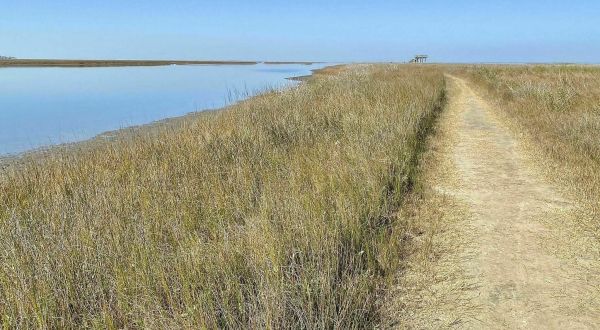 The Galveston Island State Park Trail In Texas Takes You From The Bay To The Beach And Back