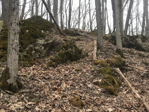 A Mysterious Woodland Trail In Wisconsin Will Take You To The Original Badger State Ruins