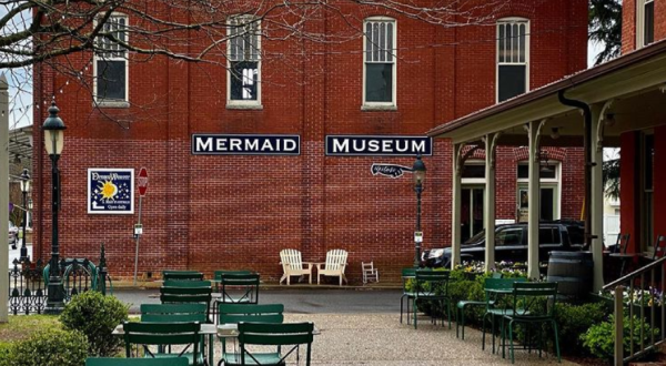 There’s  A Mermaid Museum In Maryland And It’s Full Of Fascinating Oddities, Artifacts, And More