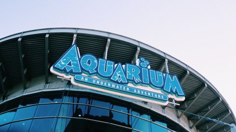 The Downtown Aquarium In Colorado Has Officially Been Named One Of The Best In The Country
