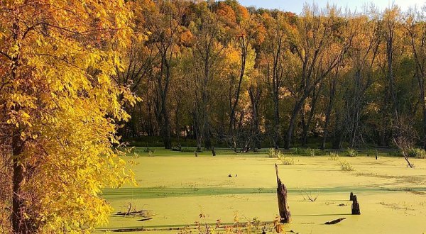 The Awesome Hike That Will Take You to the Most Spectacular Fall Foliage in Iowa