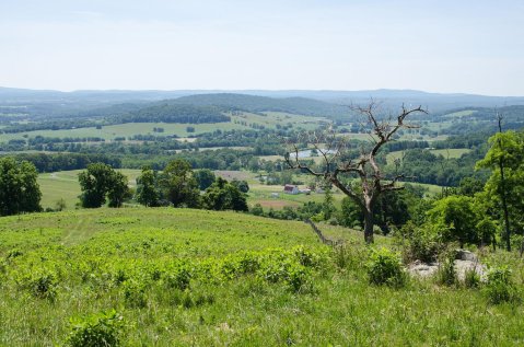 Sky Meadows State Park In Virginia Is Filled With Beginner-Friendly Mountain View Hikes