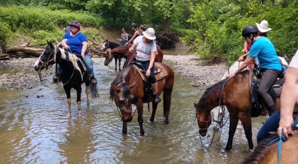 Hit The Trails On Horseback With This Family Friendly Farm