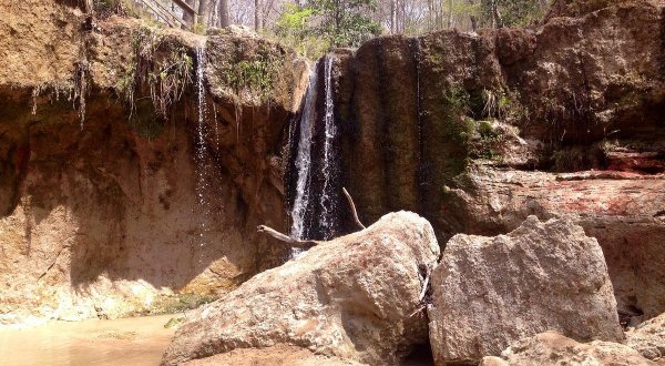 Clark Creek State Park Is A Unique Dog-Friendly Destination In Mississippi Perfect For An Outdoor Adventure