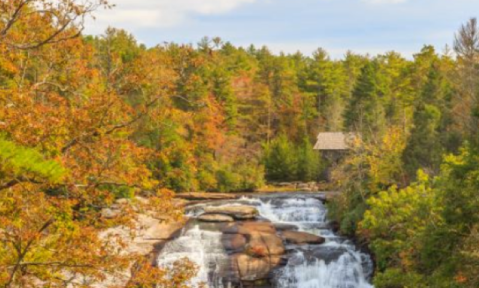 Take A Fall Foliage Trail Ride On Horseback At Horseback Waterfall Tours In South Carolina