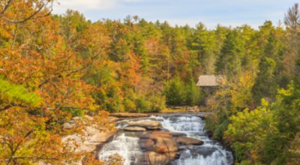 Take A Fall Foliage Trail Ride On Horseback At Horseback Waterfall Tours In South Carolina