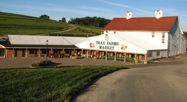 Start A New Autumn Tradition With A Family Visit To The Iconic Trax Farms Near Pittsburgh