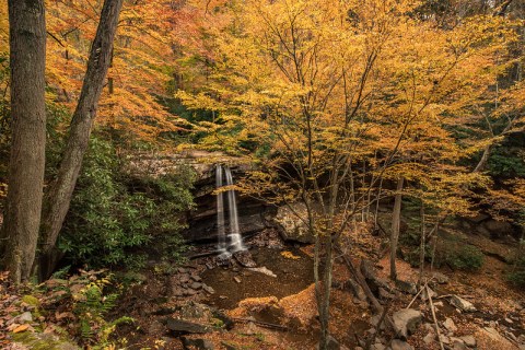 Discover Why The Laurel Highlands Near Pittsburgh Has The State's Best Leaf Peeping