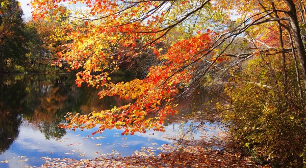 When And Where To Expect Rhode Island’s Fall Foliage To Peak This Year