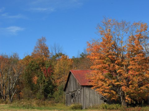 When And Where To Expect Vermont Fall Foliage To Peak This Year 