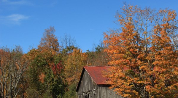 When And Where To Expect Vermont Fall Foliage To Peak This Year 