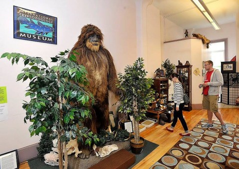 There's A Bigfoot Museum In Maine And It's Full Of Fascinating Oddities, Artifacts, And More