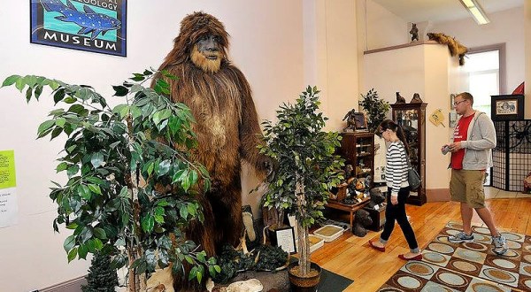 There’s A Bigfoot Museum In Maine And It’s Full Of Fascinating Oddities, Artifacts, And More